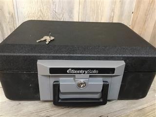 SENTRY SAFE 1160 (PSN035524) | eBay